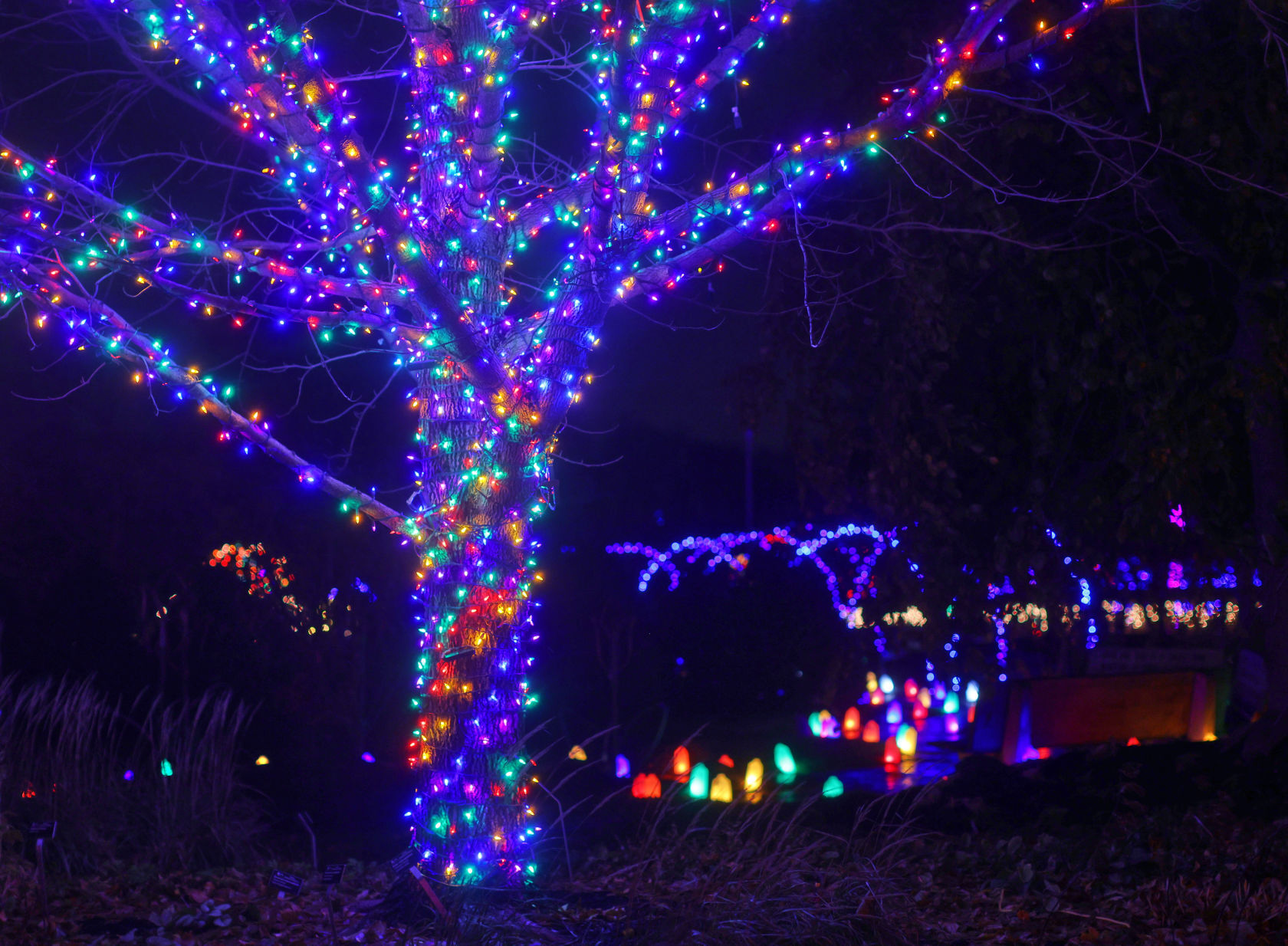 JVG_211121_LIGHTS28